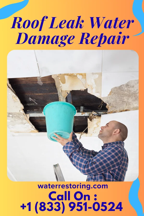 Roof Leak Water Damage Repair in South Sumter, SC